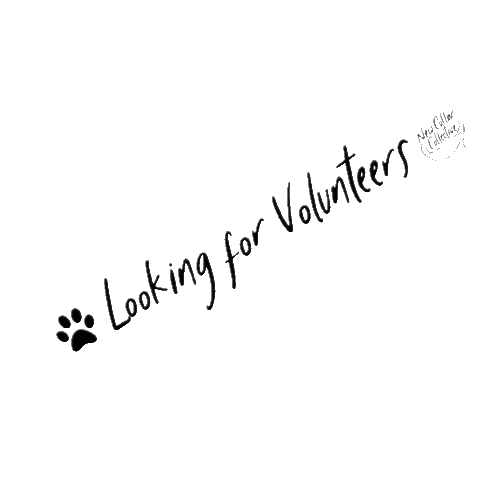 GIF by New Collar Collective