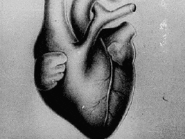 heart GIF