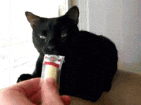 house smell GIF