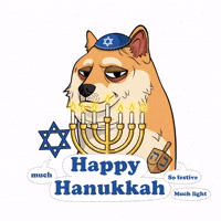 Jewish Hanukkah GIF by Doge Pound