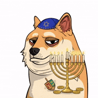 Jewish Hanukkah GIF by Doge Pound