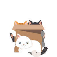 4Gatos Sticker