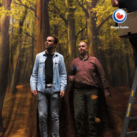 omrop_fryslan feest friesland fryslan springen GIF