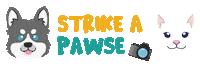 Animal Nature Sticker by Orange and Peach