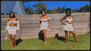 Sexy Dance GIF by The Shindellas