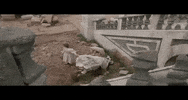 Return To Oz Wheelers GIF by MANGOTEETH