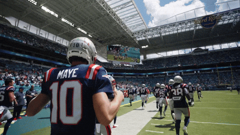 Football Nfl GIF by New England Patriots