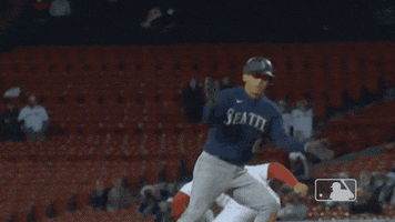 Baseball Celebrate GIF by MLB