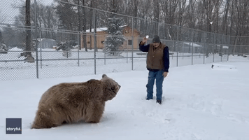 Wildlife Center Founder Tests Out 'New' Knee With Bear