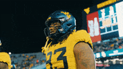 West Virginia Sport GIF by WVU Sports