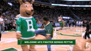 milwaukee bucks fun GIF by NBA