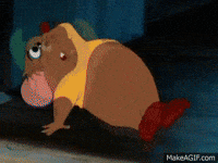 gus GIF