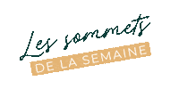 Eventsevents Sticker by Camille Wagner