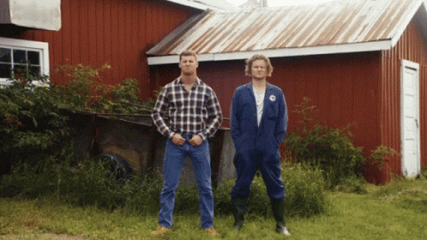 Letterkenny GIF by memecandy