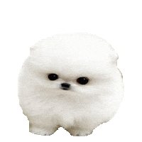 baby STICKER by imoji