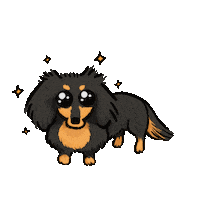 Sausage Dog Dachshund Sticker