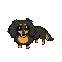 Sausage Dog Dachshund Sticker
