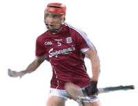 bord gais hurling Sticker by Bord Gáis Energy