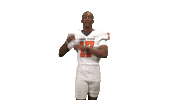 Cnfb26 Sticker by Carson-Newman Athletics