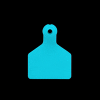 DatamarsLivestock tag pig agriculture tags GIF