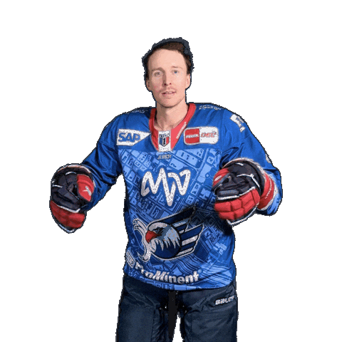 Hockey Fight Sticker by Adler Mannheim