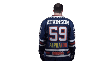Ice Hockey Sticker by Fehervar AV19