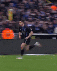 Supporters Blauw-Zwart GIF by Club Brugge