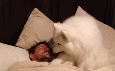 apr-08 GIF
