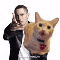 Cat Throwing GIF