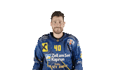 ekzellereisbaeren eishockey 40 alpshockeyleague zell am see Sticker