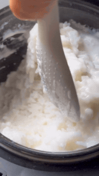 Thai Coconut Rice, One Click | Rice Robot