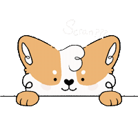Dog Corgi Sticker