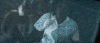 sucka free GIF by Jozzy