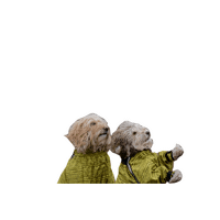 Swipe Up Sticker by Milagency
