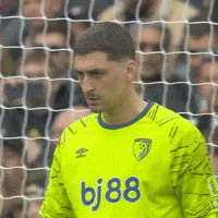 Growling Premier League GIF by AFC Bournemouth