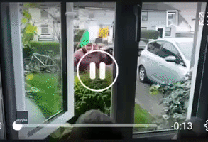 Social Distancing on St Patrick's Day: Grandmother Sings to Kids From Outside Window