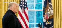 Jan 6 Hearing GIF by GIPHY News