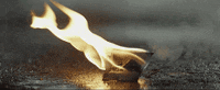 Ultra Music Love GIF by Ultra Records