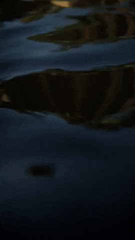 Playstation Naughtydog GIF by Youtooz