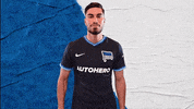 Bundesliga Berlin GIF by Hertha BSC