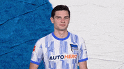 Jurgen Ekkelenkamp Football GIF by Hertha BSC