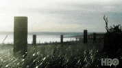 Jude Law GIF by HBO