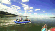 heco18 GIF by University of Alaska Fairbanks