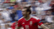 euro 2016 GIF by Sporza