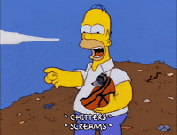 homer simpson episode 22 GIF