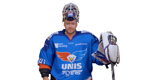 Goal Eagles Sticker by UNIS Flyers