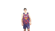 Fc Barcelona Basketball Sticker by ACB