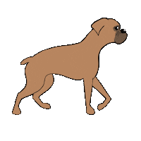 Boxer Dog Sticker