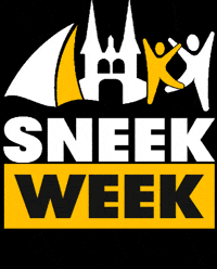 Sneekweekfeest GIF by Sneek