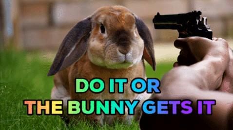 bunny doit GIF by Stoneham Press